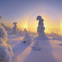 微信头像雪景图片