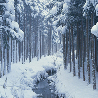 微信头像雪景图片