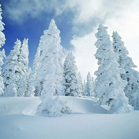 微信头像雪景图片