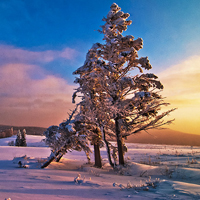 微信头像雪景图片