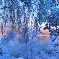 微信头像雪景图片