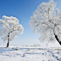 微信头像雪景图片