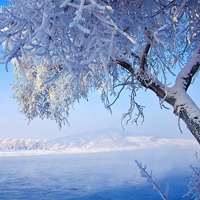 微信头像雪景图片