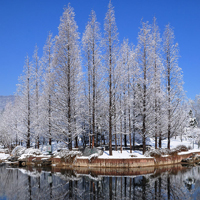 微信头像雪景图片