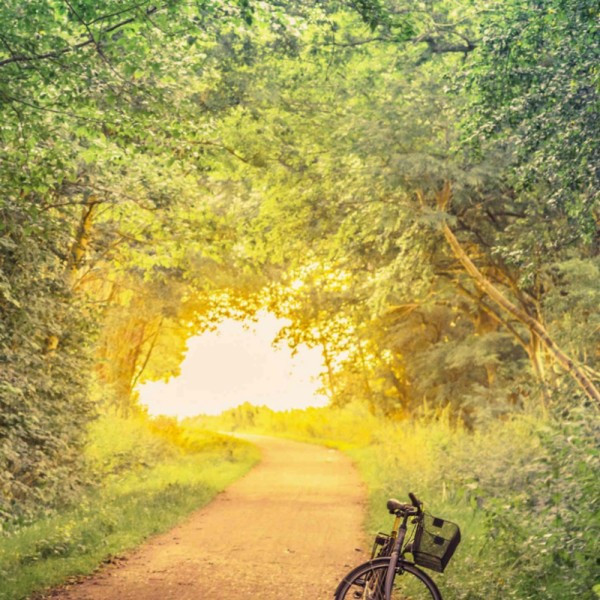 微信图片头像风景