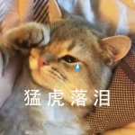 猫流泪头像图片 带猛虎流泪文字