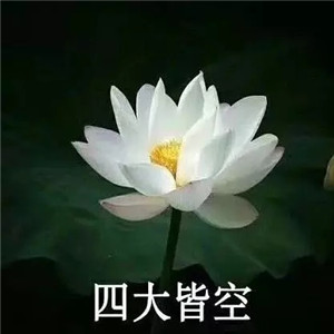 莲花微信头像图片