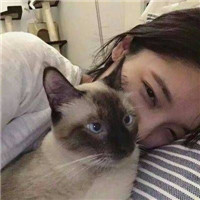 情侣头像一男一女抱猫