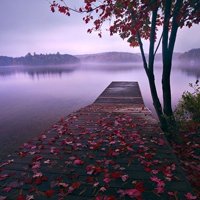 qq头像清新风景