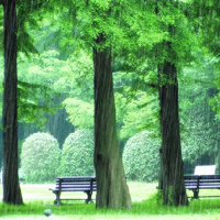 微信头像雨过天晴风景