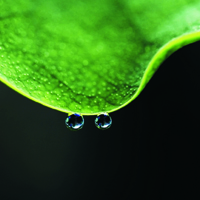 雨过天晴微信头像 关于雨过天晴好看的微信头像唯美图片