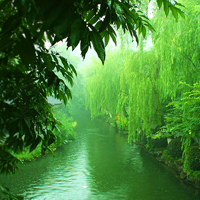 qq头像山水风景图片