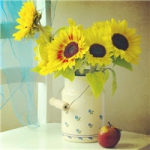 向日葵头像唯美,花瓶中的向日葵图片头像