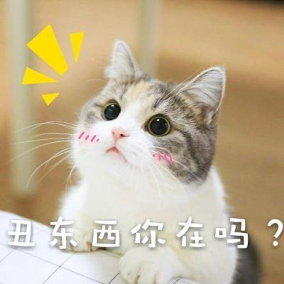 可爱猫咪带字头像