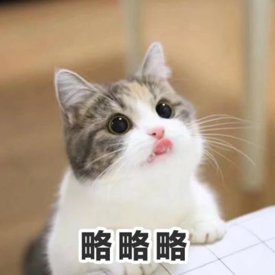 可爱猫咪带字头像