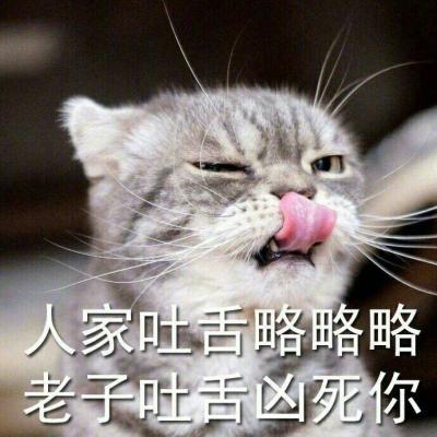 可爱猫咪带字图片头像