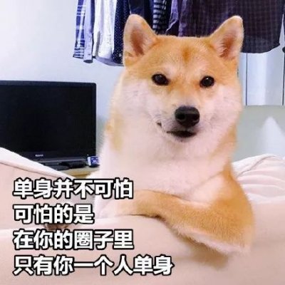 单身狗头像搞笑