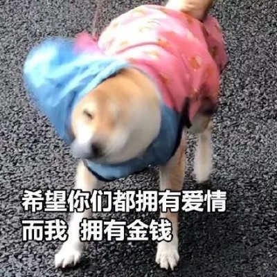 单身狗头像搞笑