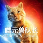 噬元兽头像图片大全 高清带字的小橘猫噬元兽噬元兽表情包头像