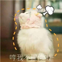 猫咪动物情侣头像大全