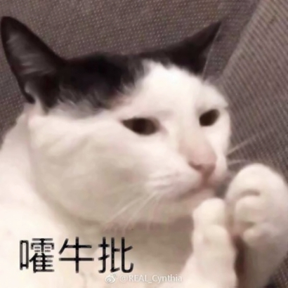 猫猫头像可爱