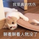 搞怪猫头像带字 高清带字的实力卖萌搞怪猫咪头像图片